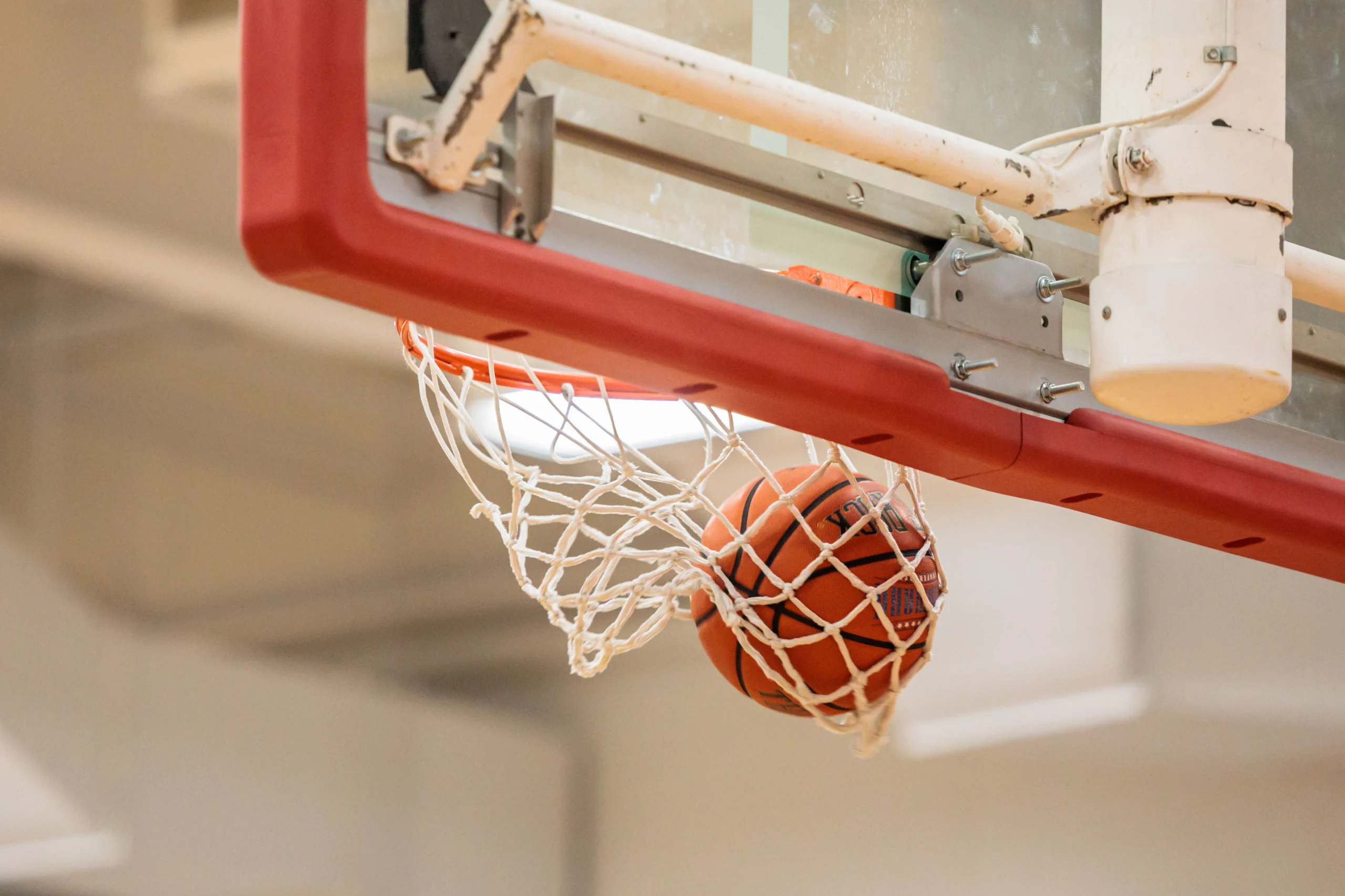 Conference Championships & Highlights